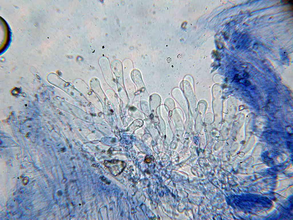 Quiz.z.z.z.z.z......